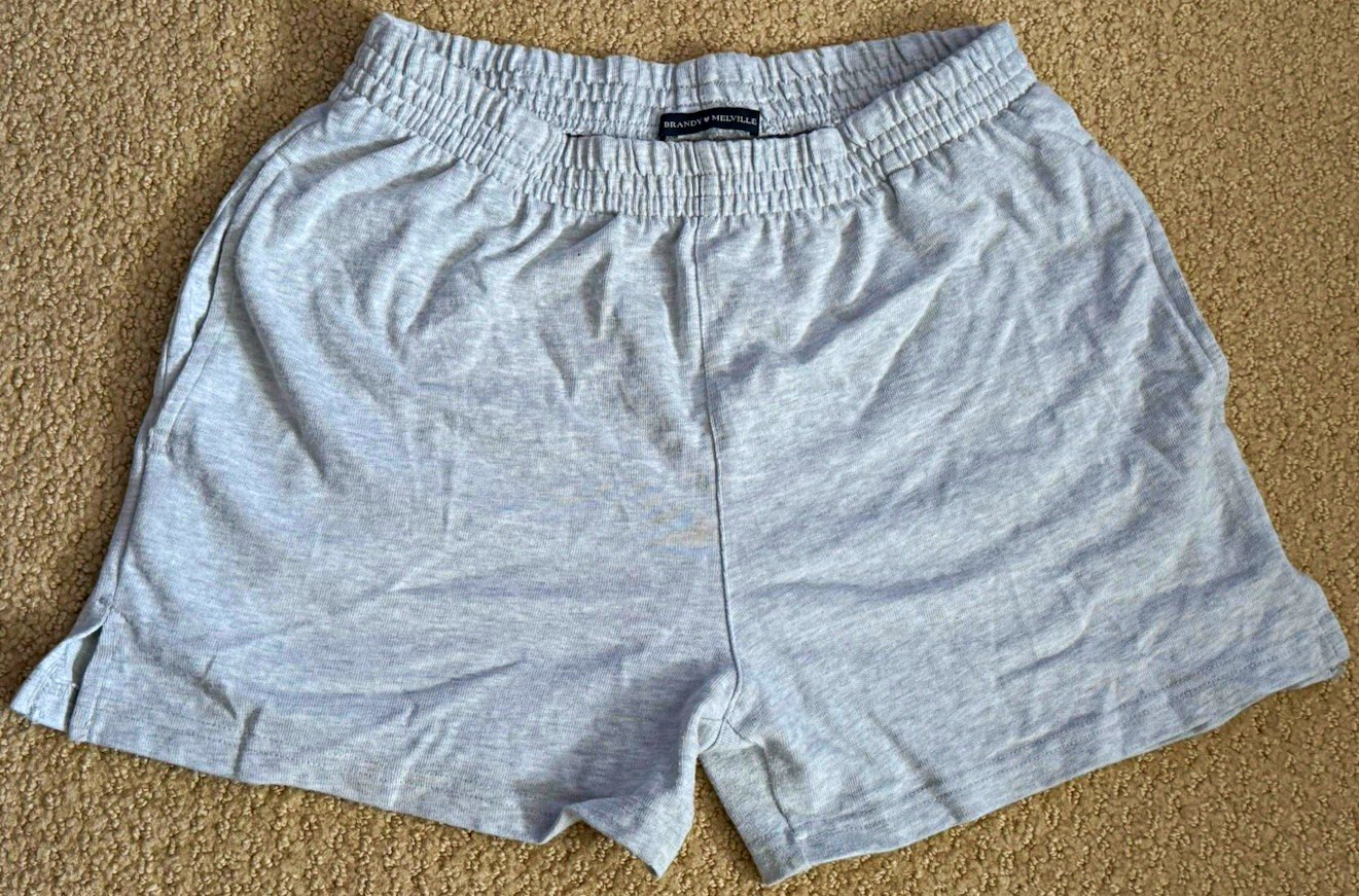 Brandy Melville Gray Cotton Knit Sweat Shorts Elastic Waist Pockets One Size