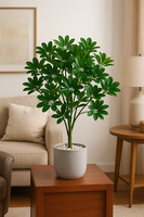 KüNstlicher Regenschirmbaum Schefflera / Aralie 100 Cm Kunstpflanze Mcpalms