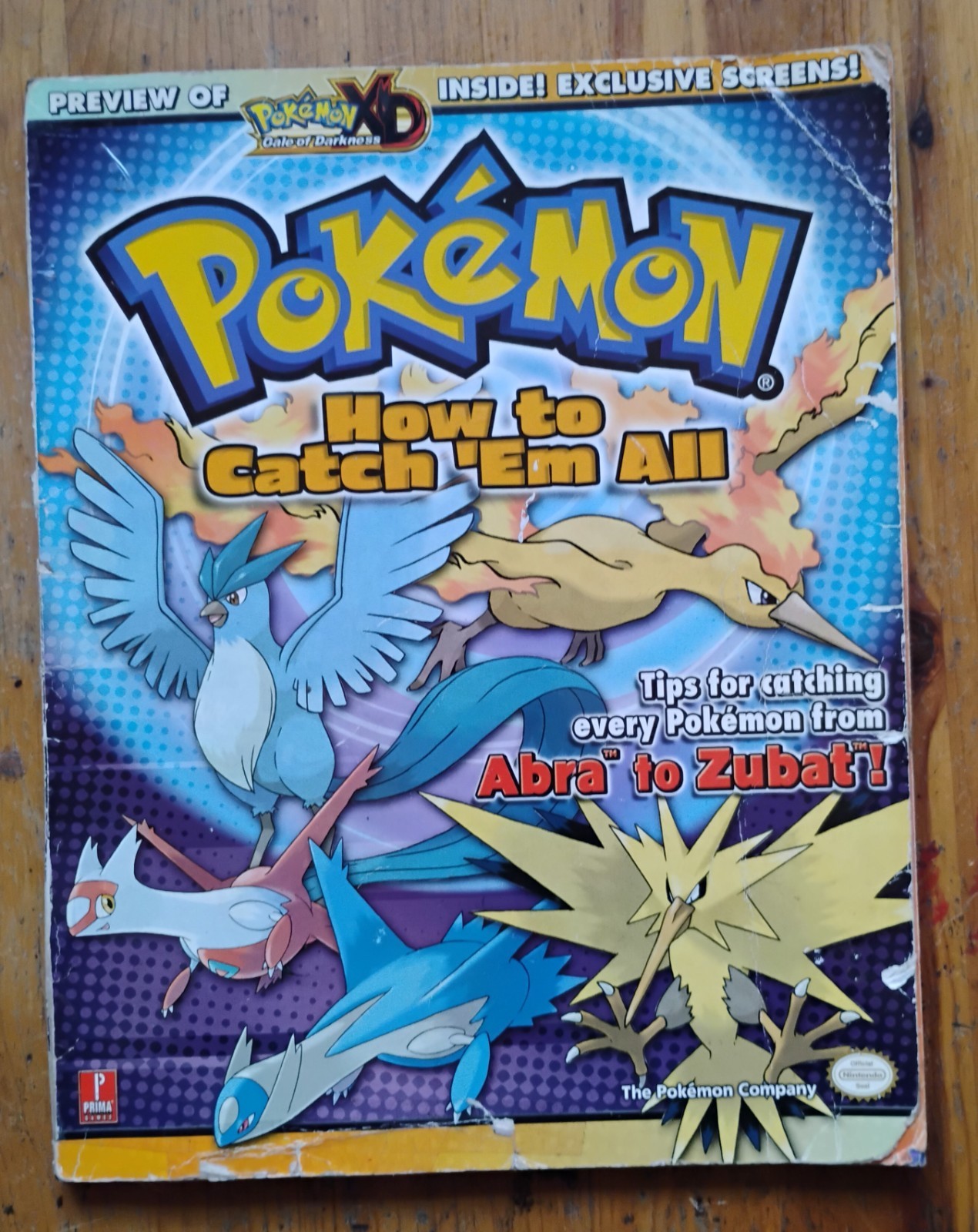 Pokemon : How to Catch 'em All Fletcher Black Levi Buchanan 2005 PB No Poster