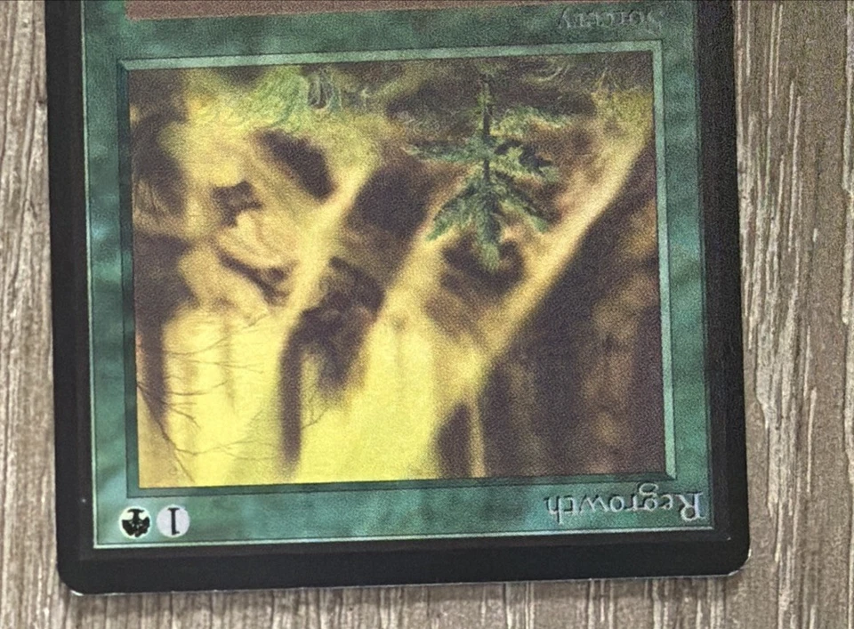 Beta - Regrowth MTG NM Magic: The Gathering - Image 4 of 4