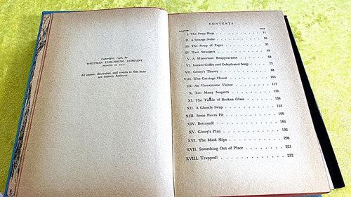 GINNY GORDON HC/DJ Bücher '48 & '51, 2 einzeln erhältlich sehr guter Zustand - Bild 27 von 31