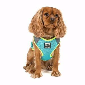 3 peaks expedition dog harness