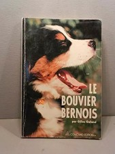 Le Bouvier Bernois, Gilles Galand