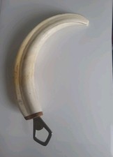 Flaschenöffner aus echtem Warzenschweinzahn ...