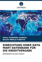 Einrichtung Einer Data Mart Datenbank FÜR DIE Kreditvergabe SumaïLi (U. A.) Buch