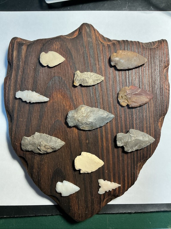 Arrow Head Collection. Mid West   Small Game 