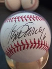 Steve Garvey Autographed Official MLB Baseball in case Mint