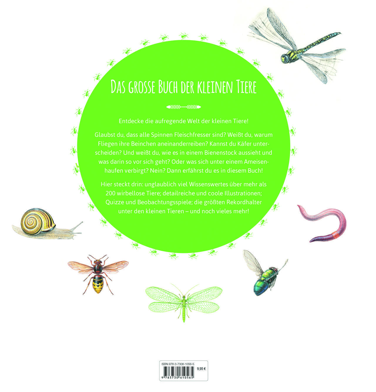 Thumbnail - Das Große Buch Der Kleinen Tiere Nathalie Tordjman