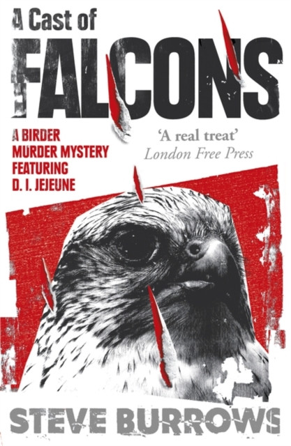 A Cast of Falcons A Birder Murder Mystery by Steve Burrows (Paperback Book)