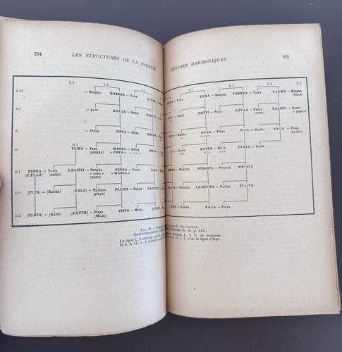 Claude Lévi-Strauss – Les Structures Élémentaires de la Parenté 1949, 1st Ed - Picture 8 of 10