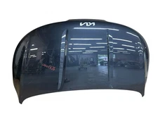 2022 2023 2024 2025 KIA CARNIVAL HOOD BONNET PANEL COVER PANTHERA METAL (P2M)
