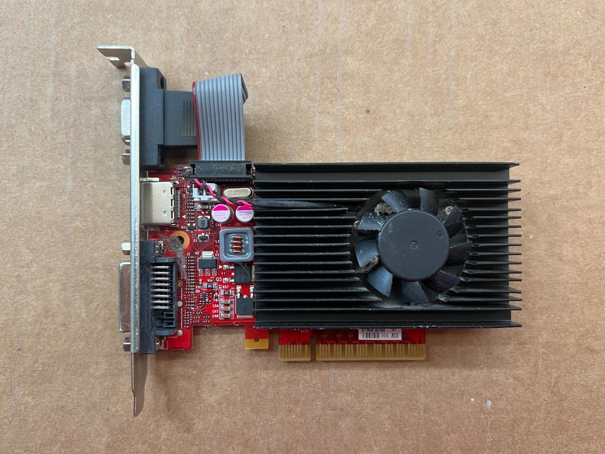 Tarjeta gráfica GeForce de perfil bajo DVI, HDMI, VGA, de
