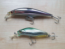 Jackson   G-Control and RYUSIN