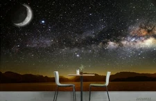 3D Starry Sky Moon Wallpaper Wall Mural Removable Self-adhesive Sticker1271