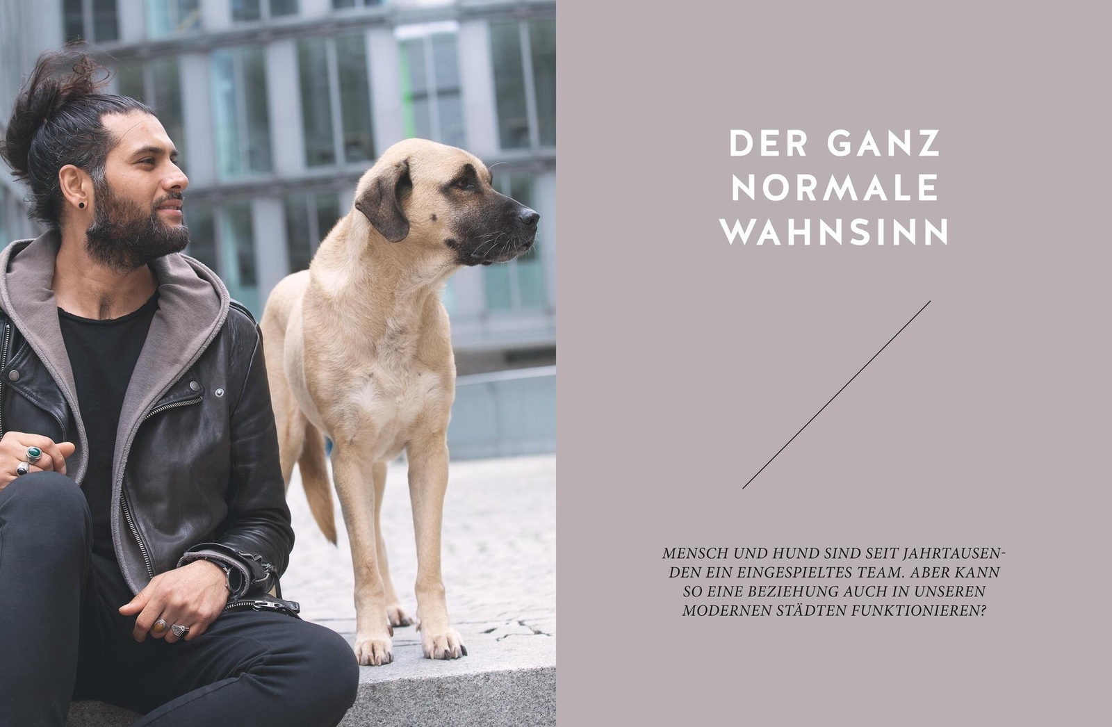 Thumbnail - Stadt-wölfe Masih Samin