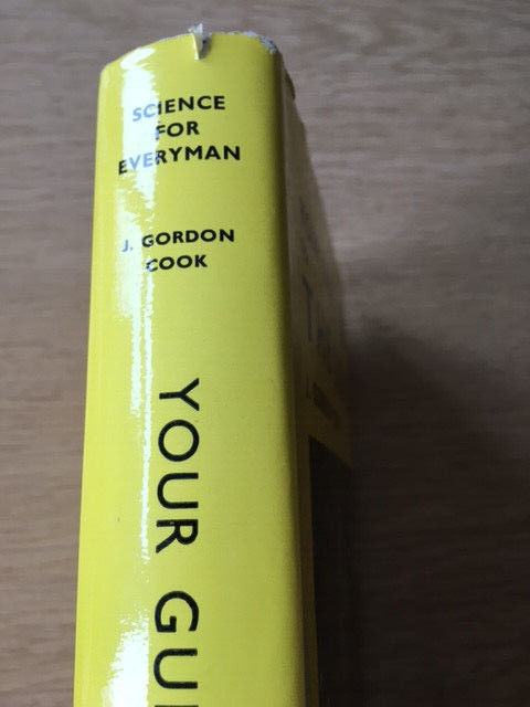 Picture 2