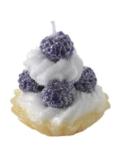 Victorian Trading Co Purple Berry Fruit Tartlet Candle 19D