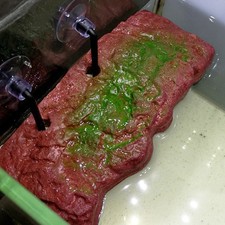  Piattaforma basking tartarughe serbatoio rettili accessorio piattaforme tartarughe acquatiche