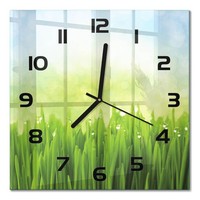 Wanduhr Aus Glas FüR Wohnzimmer Und Arbeitszimmer Gras Schwarze Zeiger 30X30 Cm