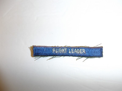 b6588 WW Civil Air Patrol CAP Flight Leader tab R22D UK