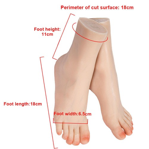 Silicone Foot Children Foot Model 18cm/7in Girl's Feet Model Shoes Socks - Picture 3 of 13