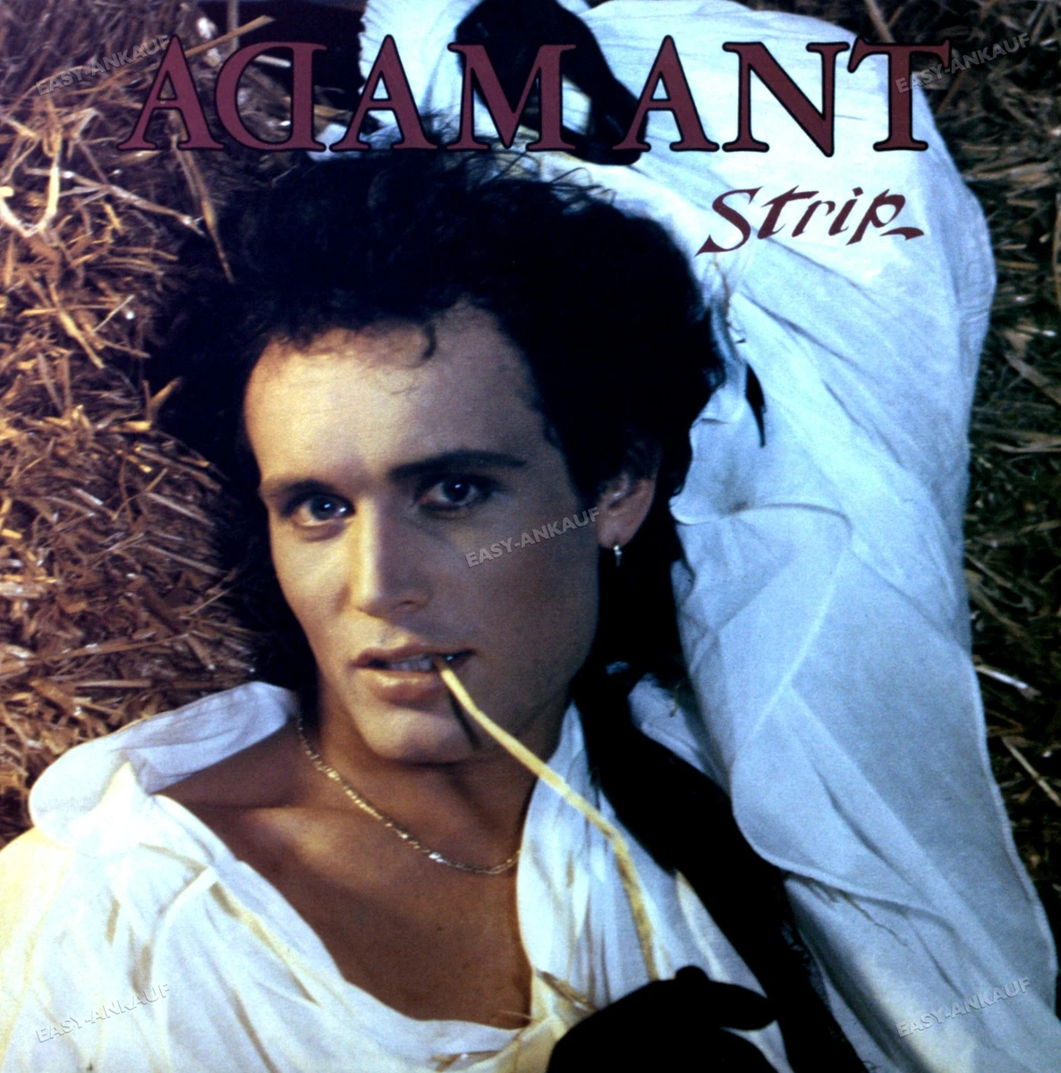Adam Ant - Strip LP (VG+/VG+) '* | eBay
