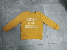 Primark Pullover Gr 110