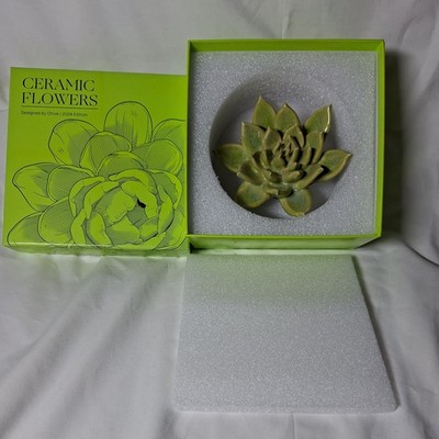 Schnittlauch Keramik Wand Blume Erbse grüner Geist Sukkulente 4,5 Zoll Durchmesser verpackt