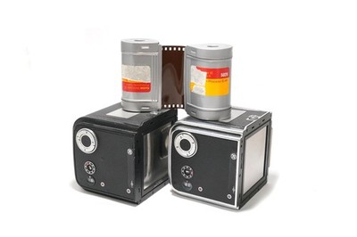 Zwei Stacheln Hasselblad A70