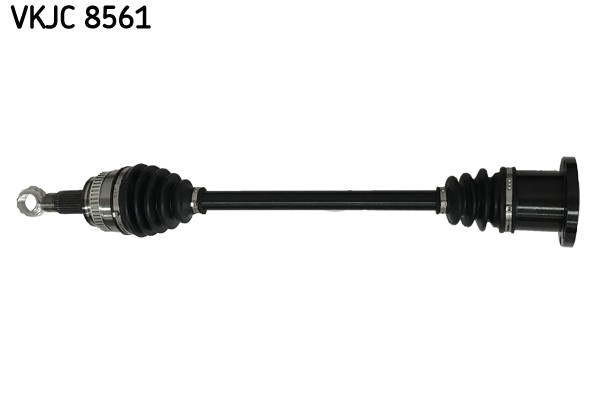 Picture 1