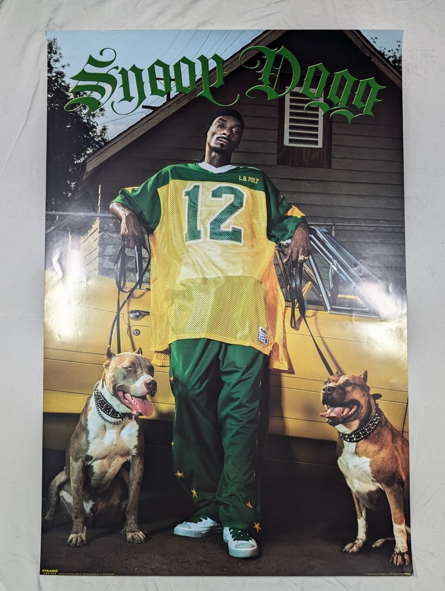 特大ポスター　正規品　100cm×65cm snoop dogg ポスター SNOOP DOGG ”DOGGY STYLE” 額入りポスター - アンティーク