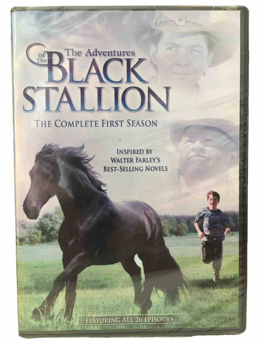 (未使用･未開封品)Adventures of Black Stallion: First Season [DVD] Amazon.com: The Adventures of The Black Stallion: Season 1