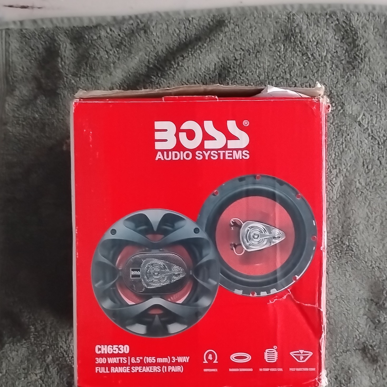 300w Rms Power
