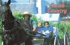 Postcard PA Amish Country Horse Buggy Family Father Daughters Carriage Corn Barn