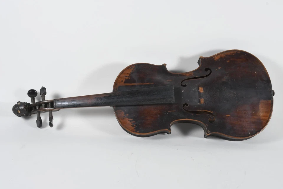 C63D09- Antike Tierkopf Geige Holz geschnitzt Perlmuttaugen - Bild 1 von 4
