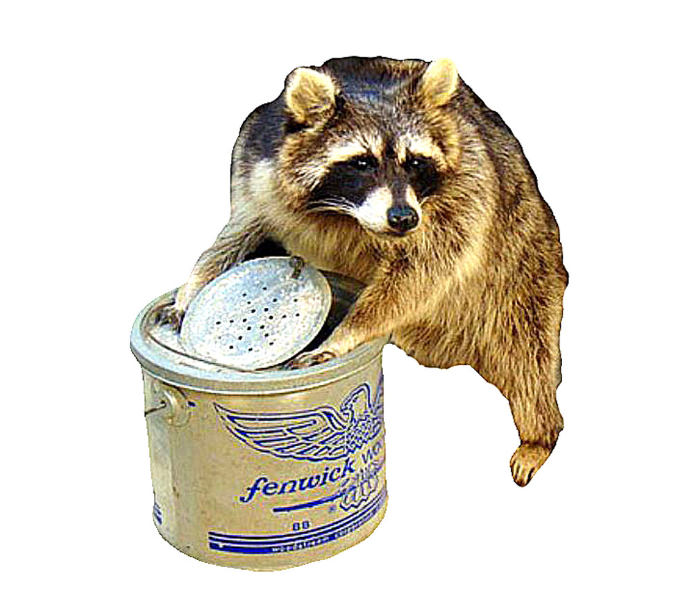 Raccoon Bucket Set
