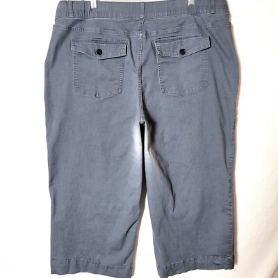 Terra Sky Womens Pants Plus Size 2X Pull-On Wide Leg Cropped