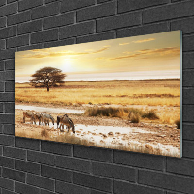 Tableau Décoratif Sur Plexiglas Impression Paysage Désert 100x50 Cm - Tulup - Neuf
