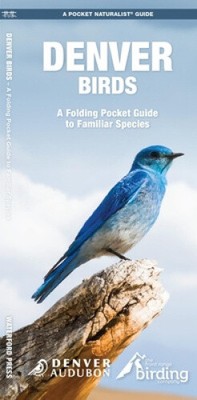 Denver Birds: A Folding Pocket Guide to Familiar Species by James Kavanagh