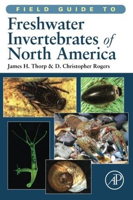FIELD GUIDE TO FRESHWATER INVERTEBRATES OF NORTH AMERICA By James H. Thorp & D.
