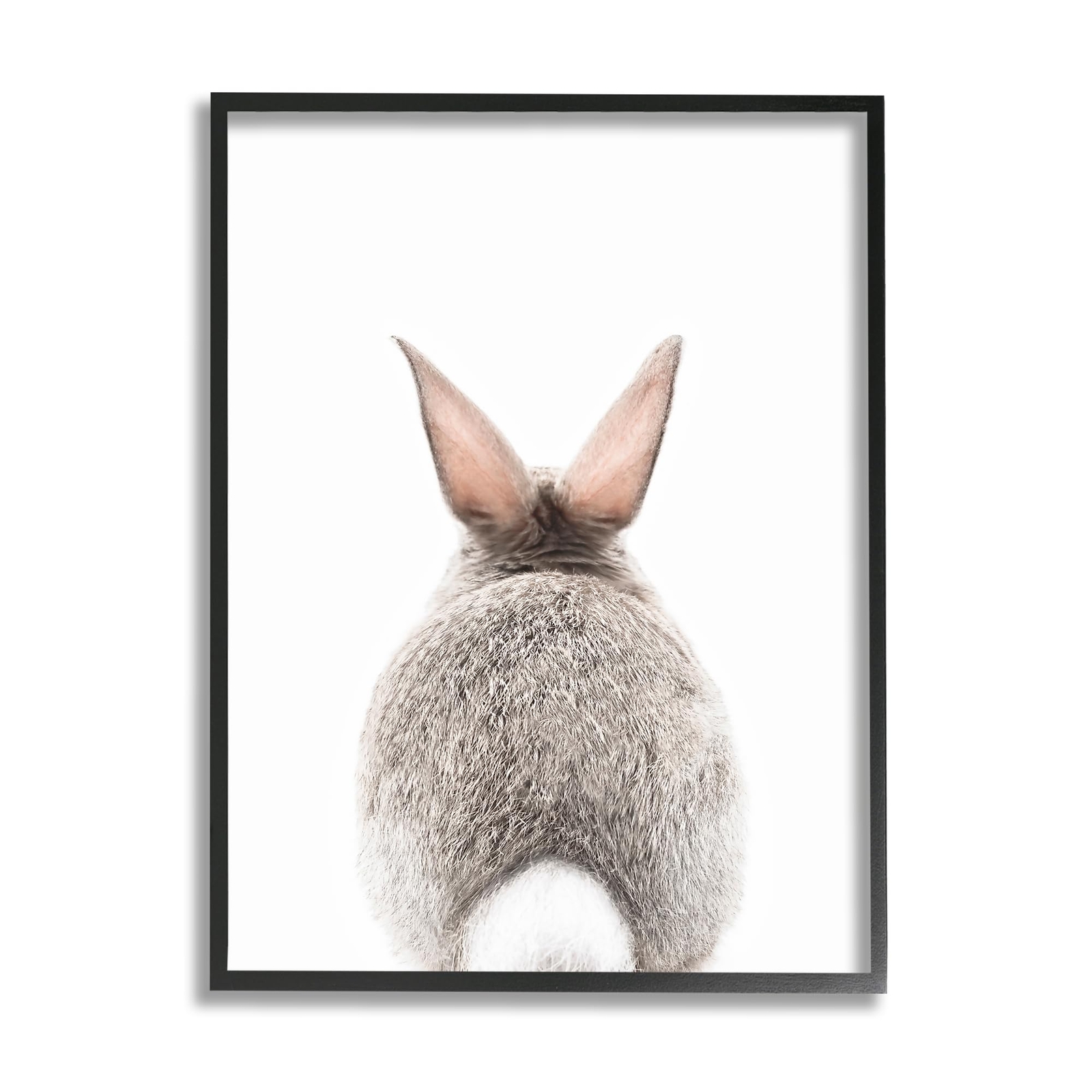 Rabbit Tail on White Black Framed Giclee Art Design by Sisi and Seb