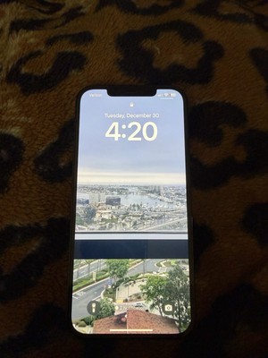 Apple iPhone 12 Pro Max