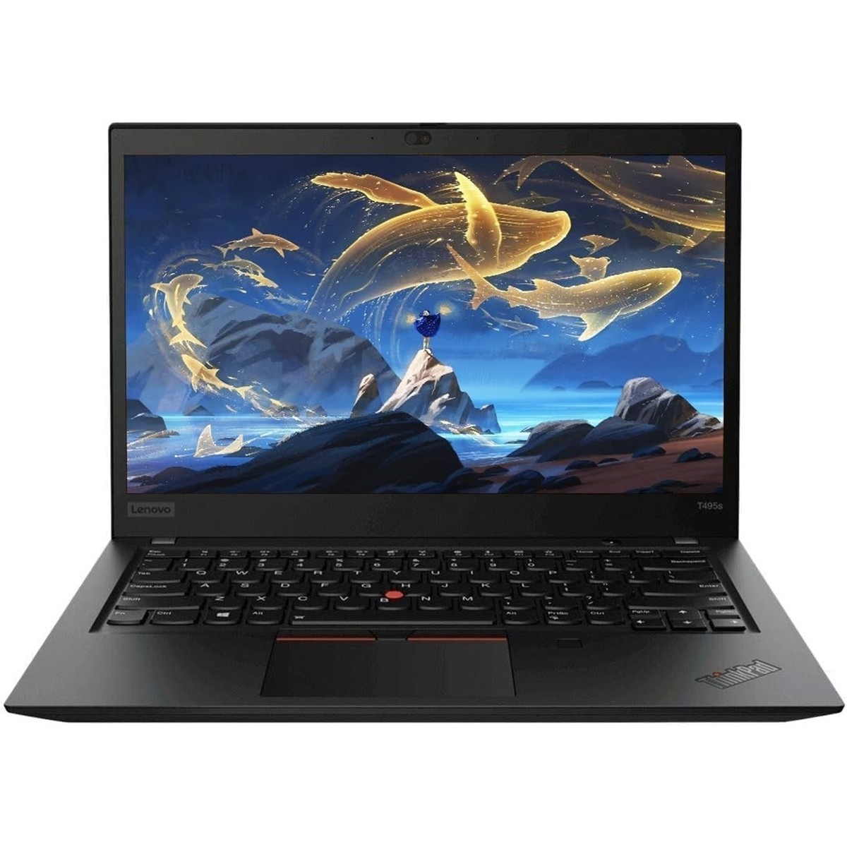 Lenovo ThinkPad T495 14