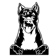 American Staffordshire Terrier Decal Car Window Laptop Tablet Notebook Tumbler