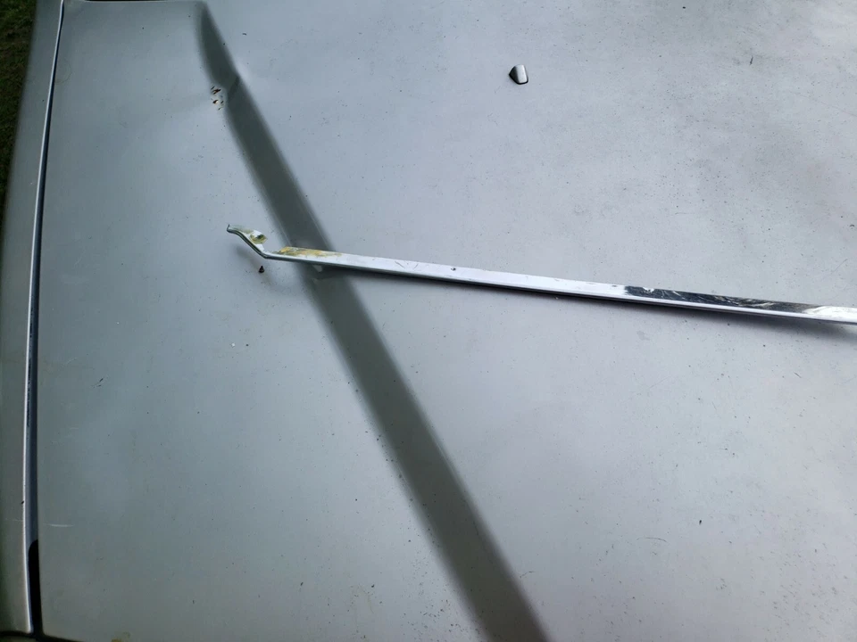 NOS GM 1975-1976 BUICK SKYLARK PARRILLA INFERIOR ACERO INOXIDABLE MOLDURA-PARTE 1247018 Foto 4 de 4