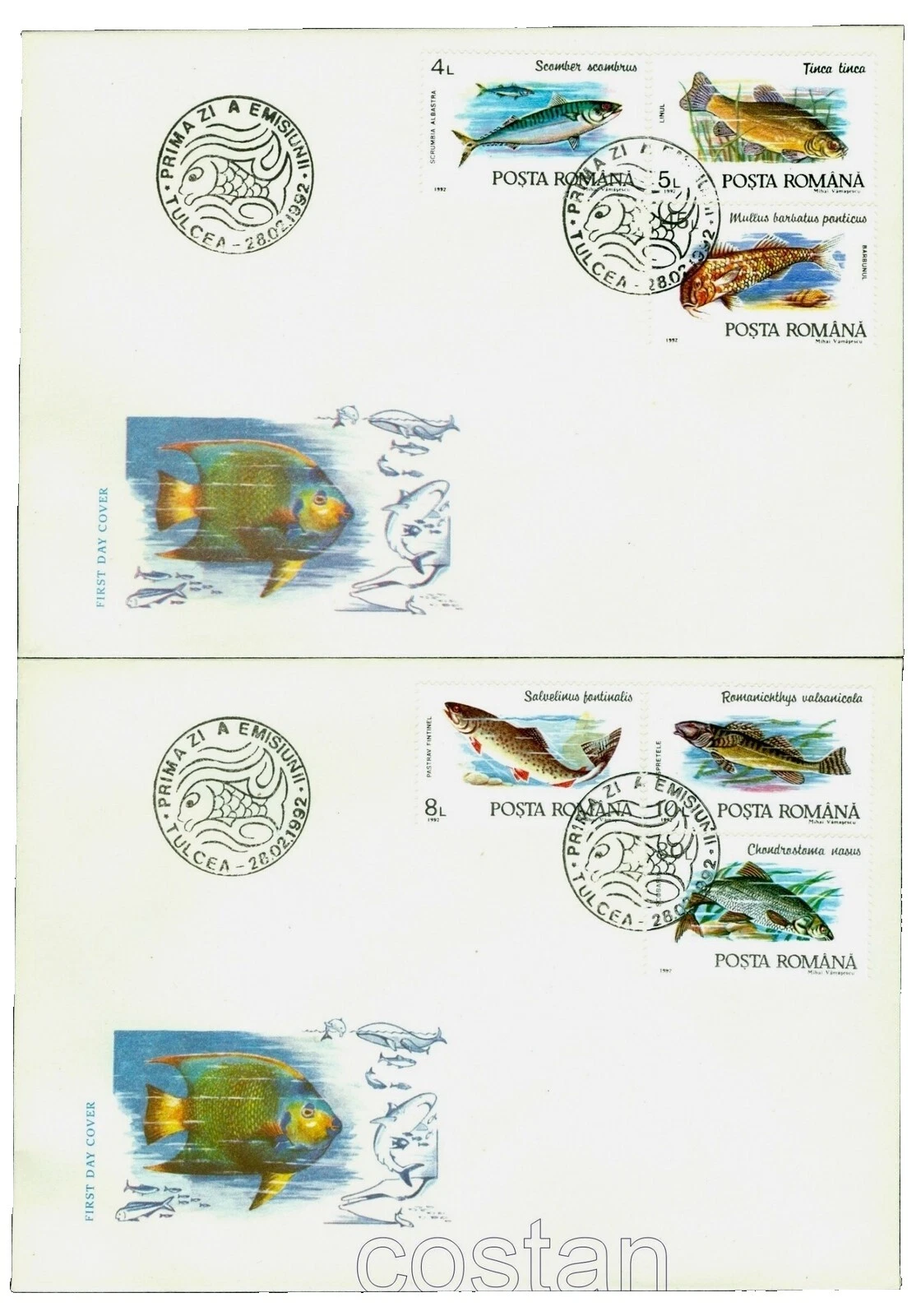 Fish First Day Cover Romanian Stamps