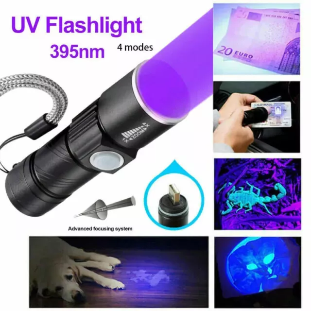 USB Torch 395NM UV Catch Scorpion Flashlight USB Rechargeable Blacklight Light