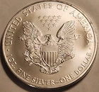 2009 American Silver Eagle 1 oz .999 Fine Silver BU