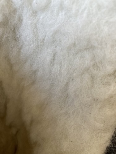 Stivali alti EMU Australia Micah grigio scamosciato foderato lana merino nastro avvolgente taglia 9 W - Foto 11 di 12