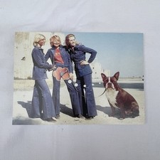 Doghouse Promo Unposted Postcard The Dog House